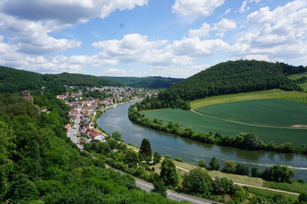 Fewo Am Neckarsteig Mit Anbindung An Heidelberg Neckarsteinach Extérieur photo