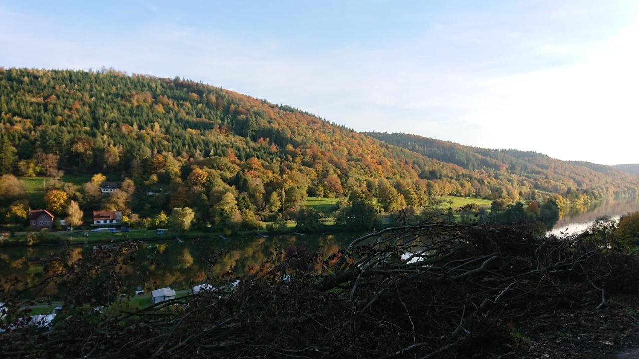 Fewo Am Neckarsteig Mit Anbindung An Heidelberg Neckarsteinach Extérieur photo