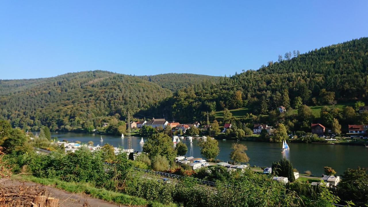 Fewo Am Neckarsteig Mit Anbindung An Heidelberg Neckarsteinach Extérieur photo