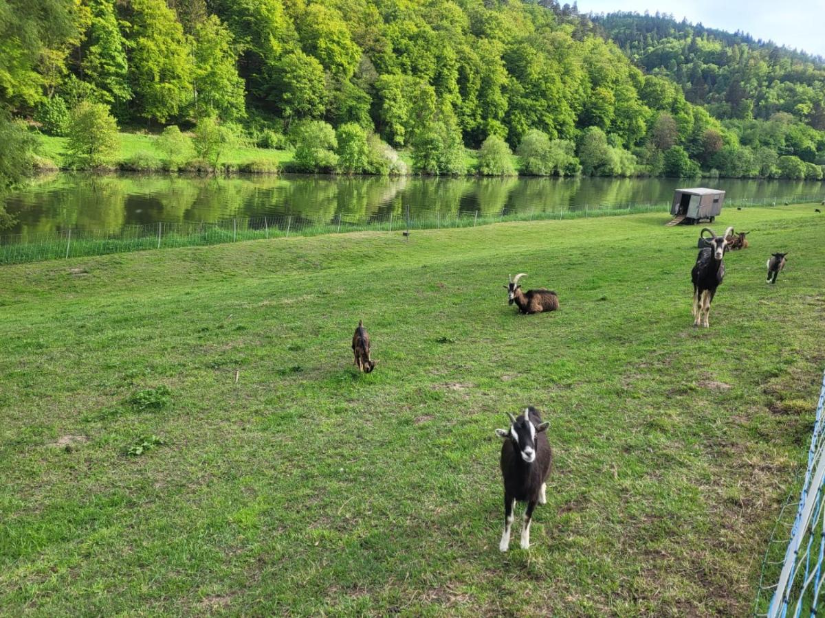 Fewo Am Neckarsteig Mit Anbindung An Heidelberg Neckarsteinach Extérieur photo